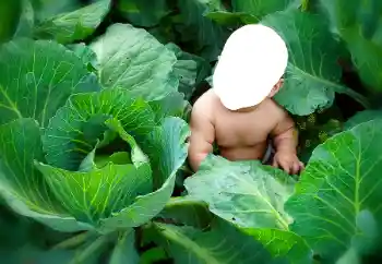 Efek foto dari kategori Untuk anak-anak № 90533