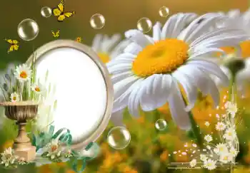 Efek foto dari kategori Musim Panas № 153157