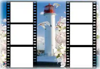 Efek foto dari kategori Musim Panas № 167969
