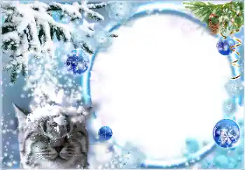 Efek foto dari kategori Musim Dingin № 178026